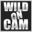 Wild On Cam