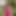 LadyboystarVR