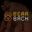 Bearback
